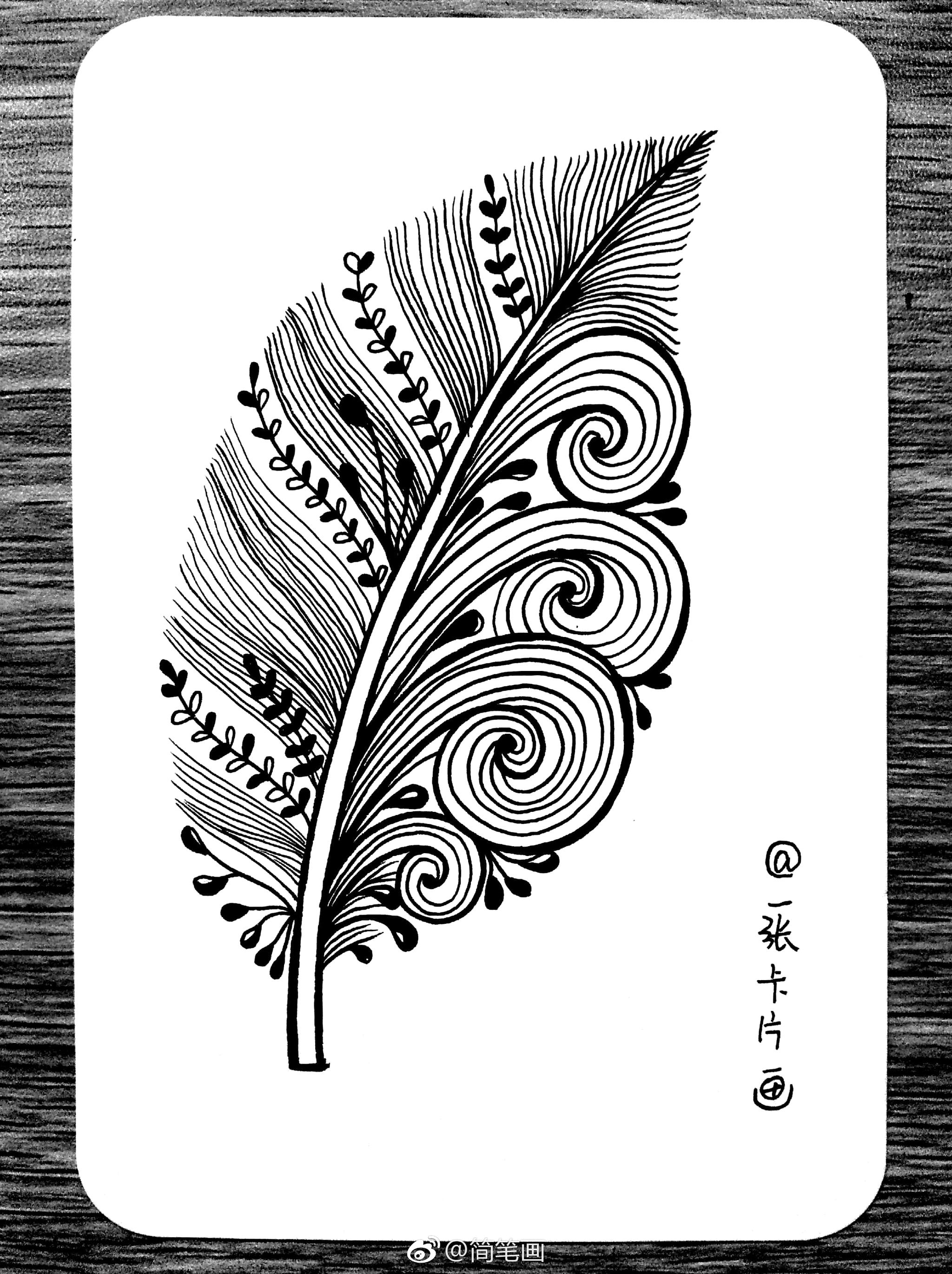 一组羽毛禅绕画投稿一张卡片画