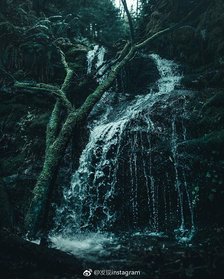 静谧森林 ins:fursty   :发现instagram