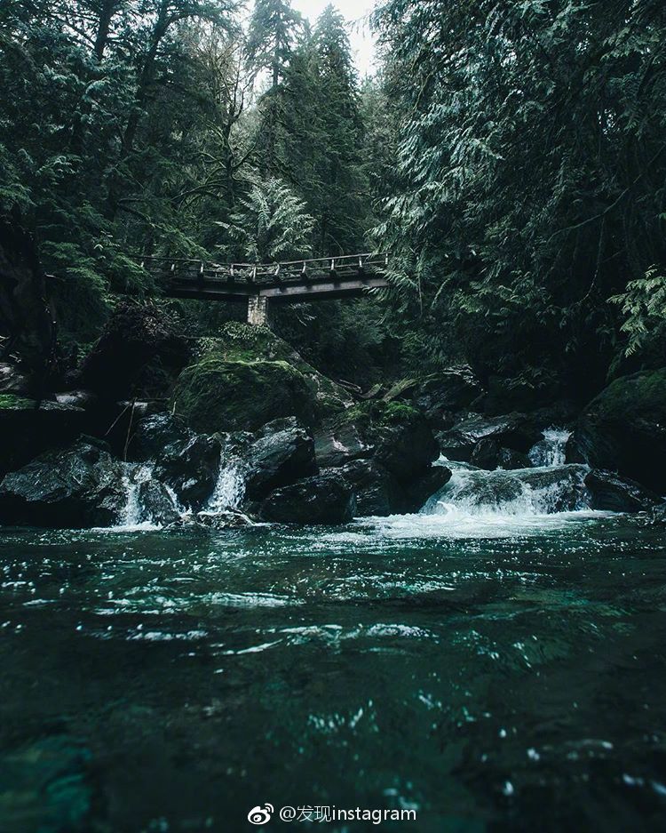 静谧森林 ins:fursty   :发现instagram