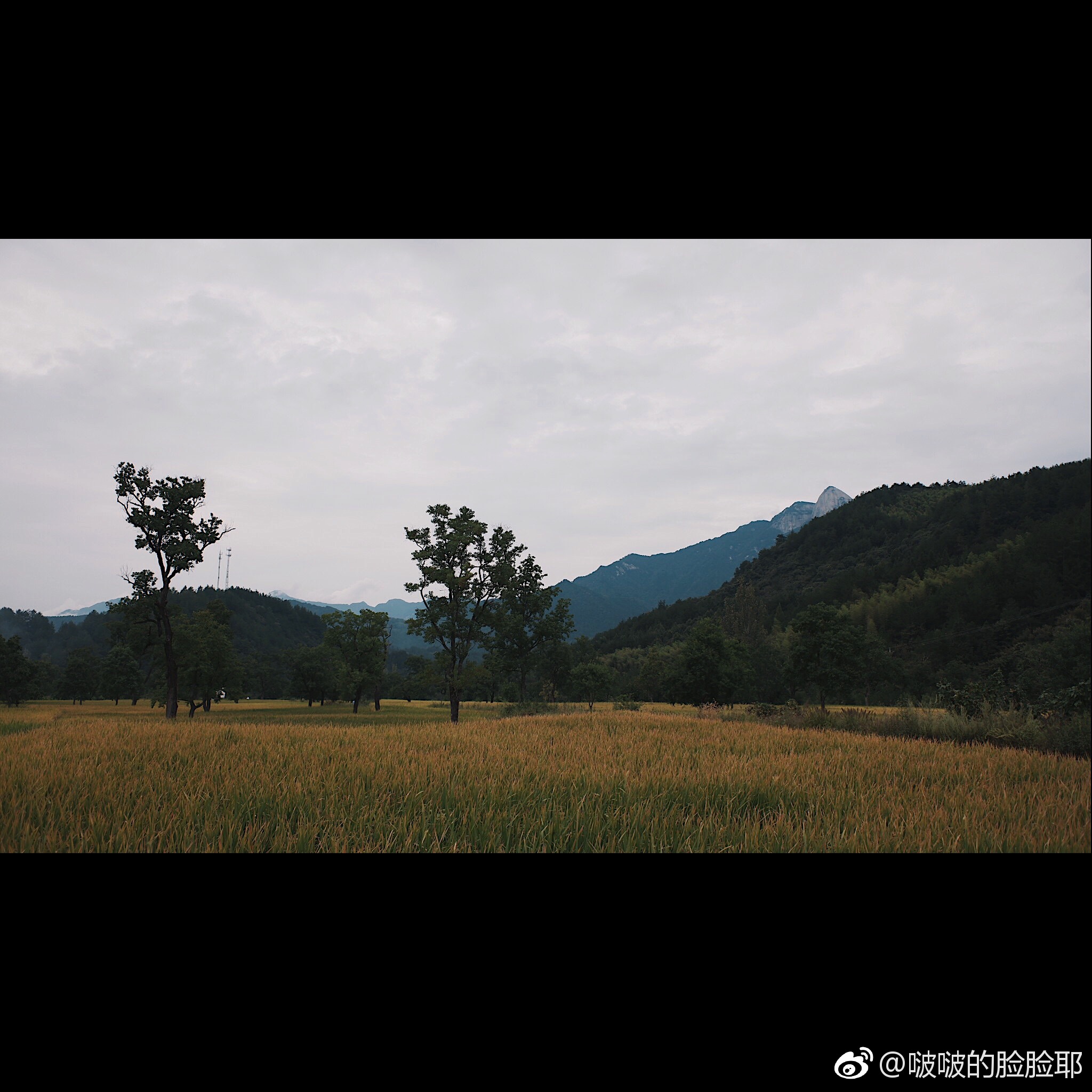 安逸平静的乡野生活…
