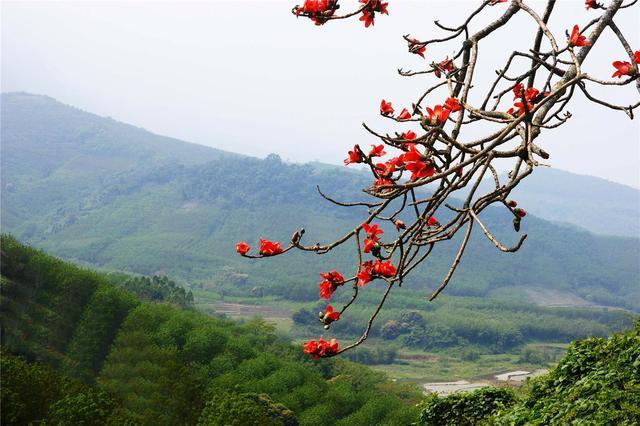 海南春天居然藏匿了这么多美景简直要逼疯摄影师
