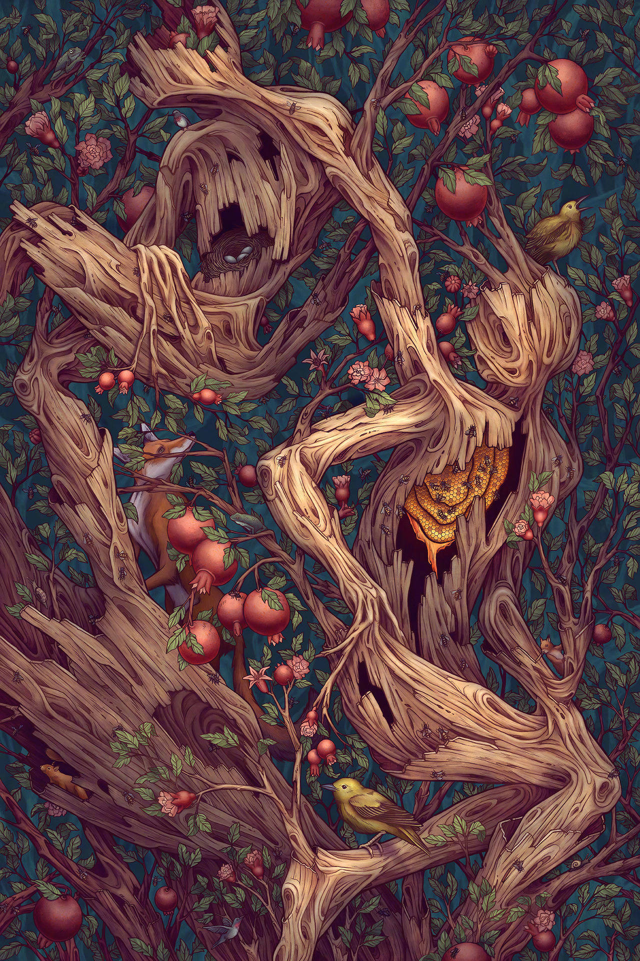 美国插画师 kate ohara 绘画作品 676767|插画师|微博|美学