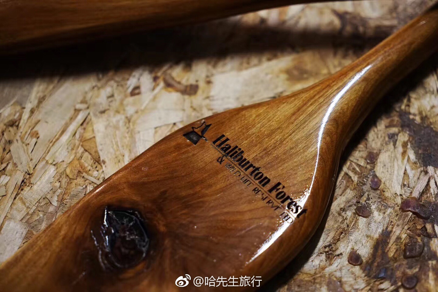 在北美五大湖区,经常能看到Canoe(独木舟)和Kayak(皮划艇)|大湖区|独木舟|皮划艇|船桨|北美_新浪新闻