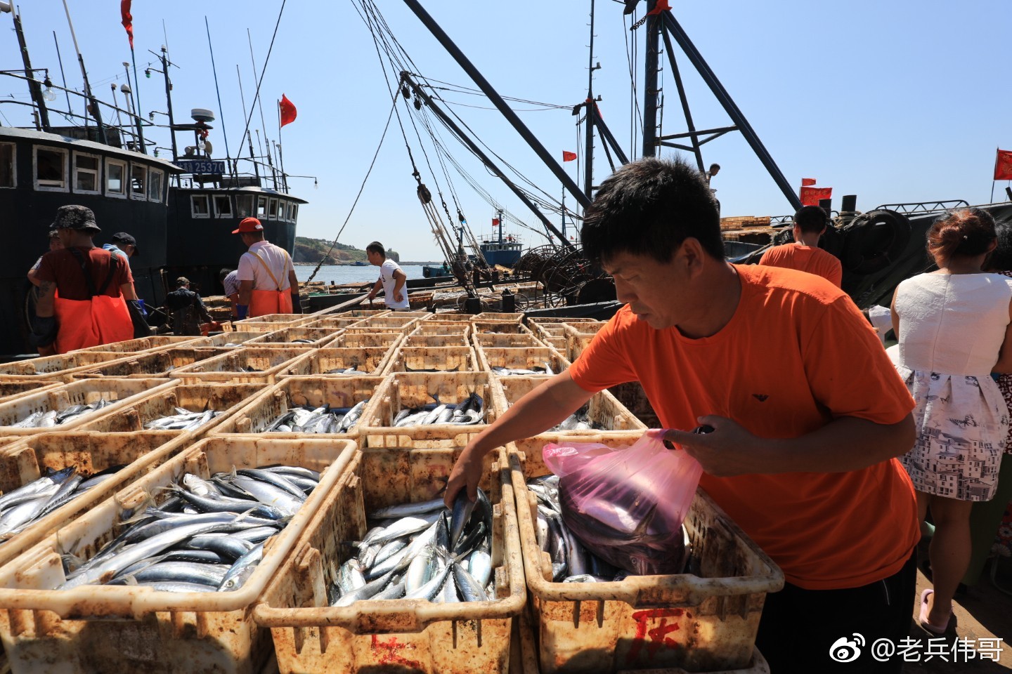 黄渤海开渔第一天,大连龙王塘渔港码头上一派忙碌|黄渤海|龙王塘|海鲜