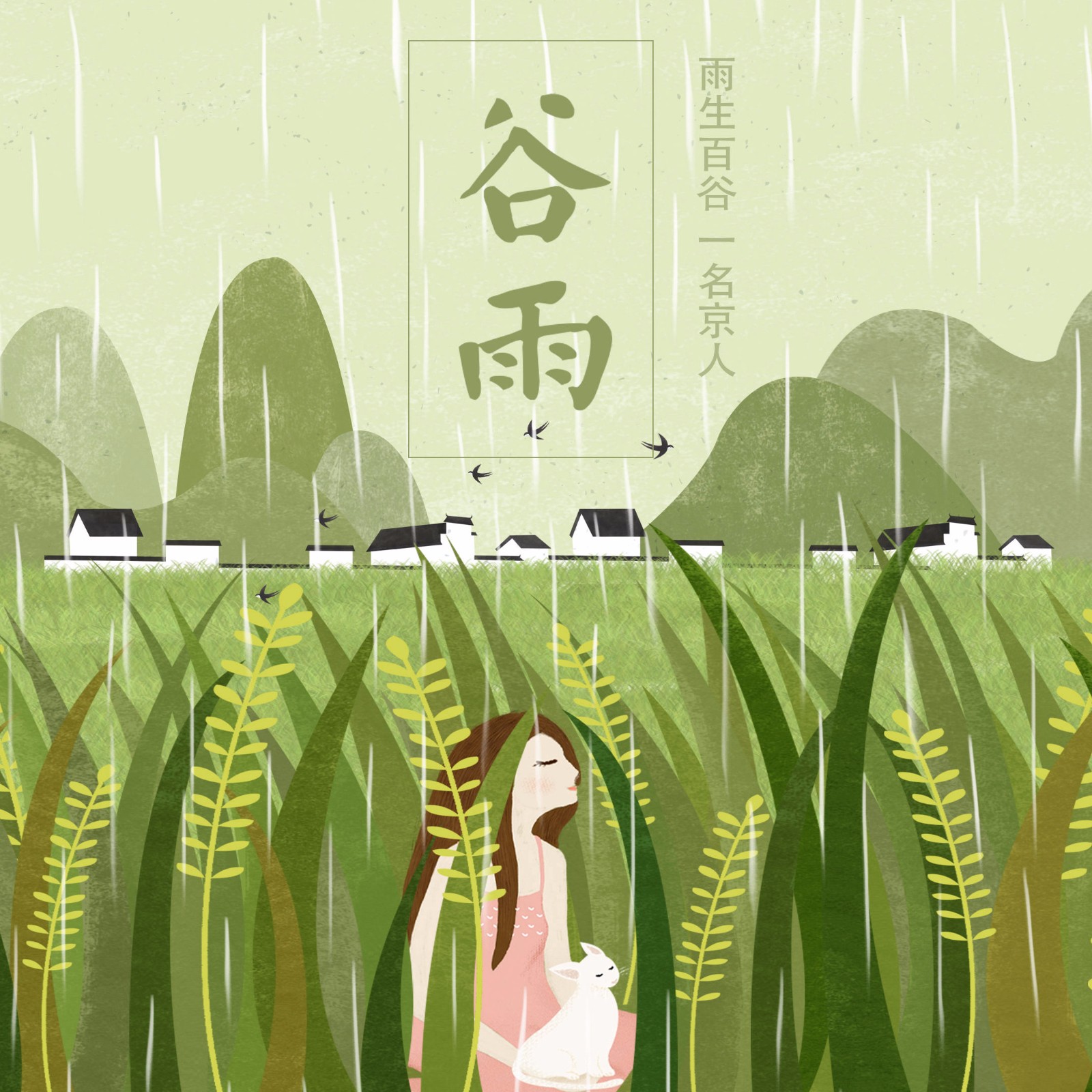 春天的最后一个节气走谷雨赏牡丹喝茶清火习俗不少