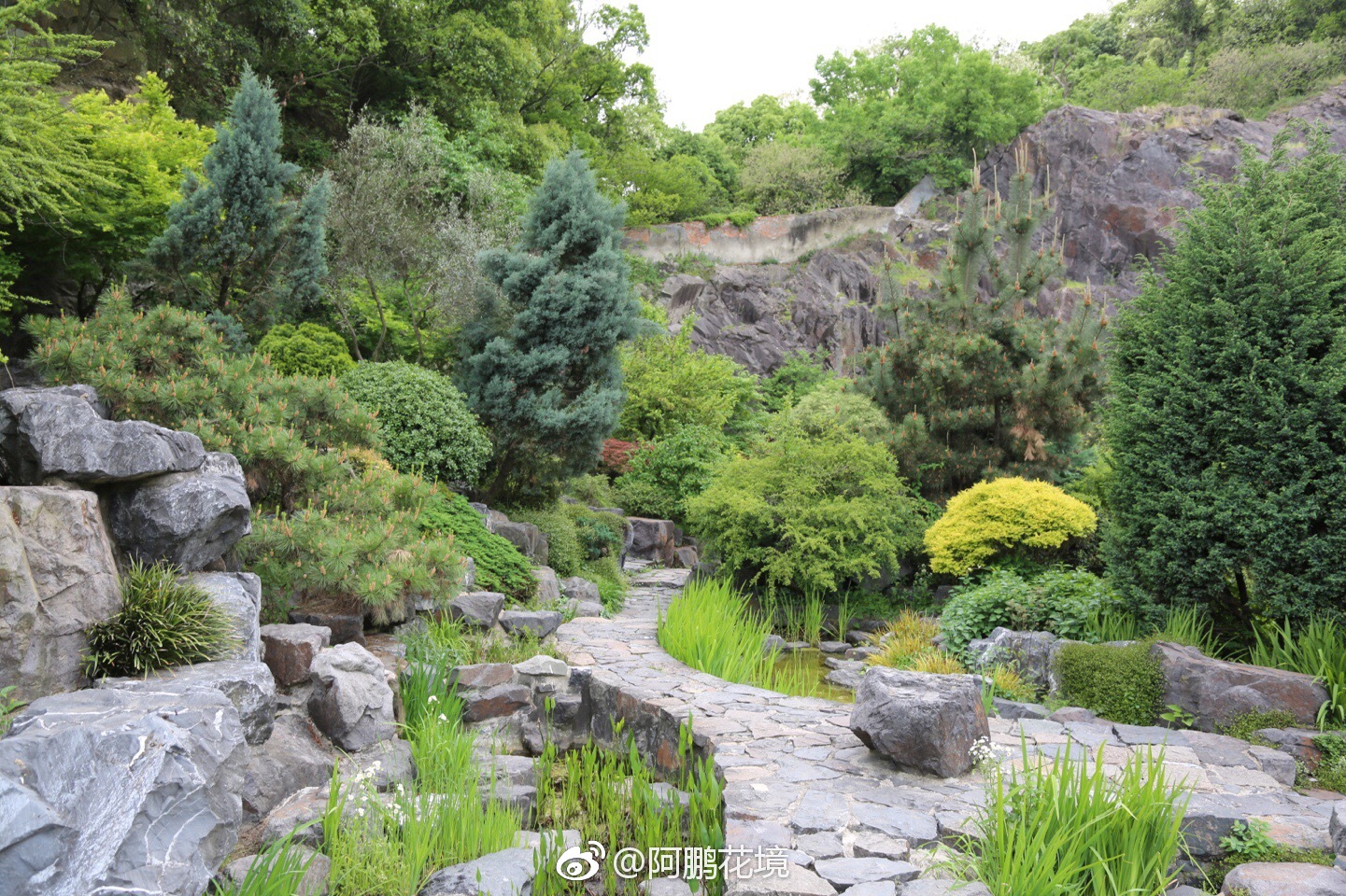 最近一直想写篇岩石园等文,不谈技术配置,单说个人感受