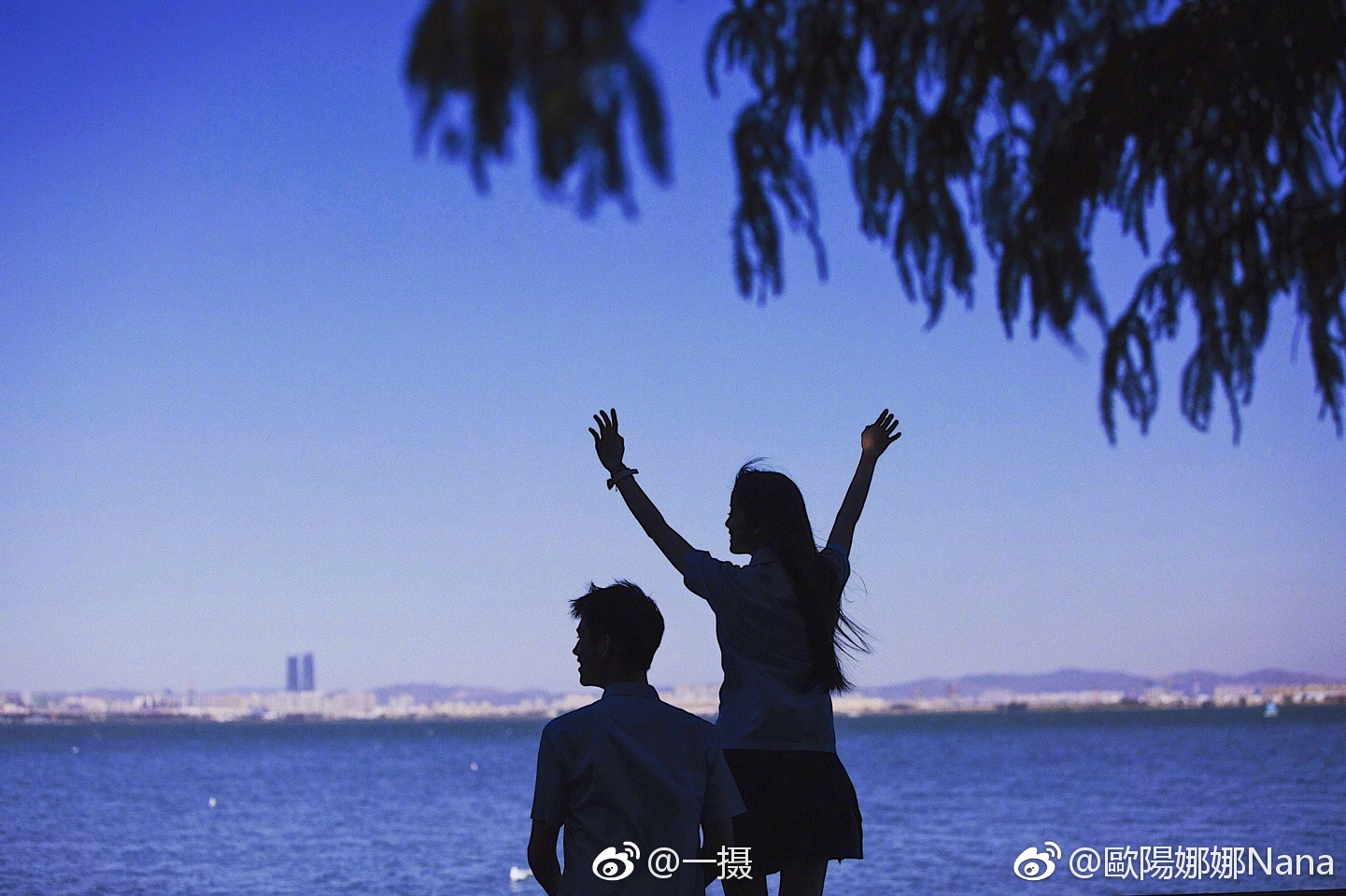 欧阳|娜比|陈飞宇|欧阳娜娜_新浪新闻