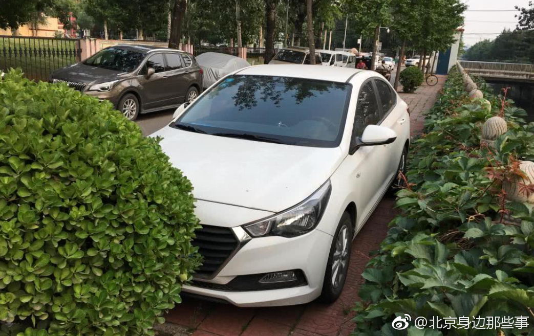 北京街头现"神停车" 车停便道两树间仅余十余厘米