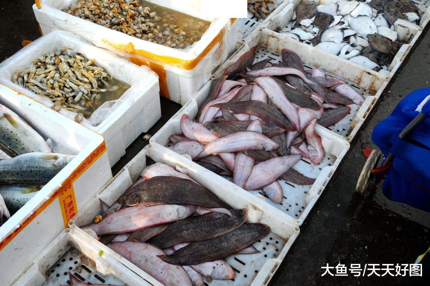 南方海货丰收 青岛早市海鲜进入销售旺季 大虾25元一斤 梭子蟹30