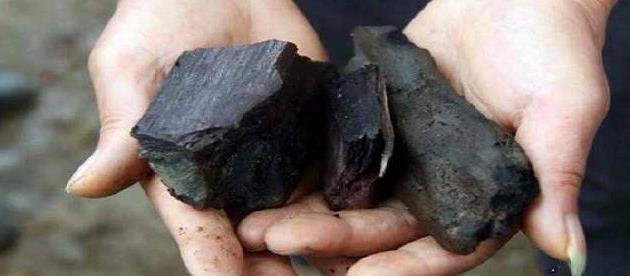 老汉在河中摸到黑色坚硬物体,专家:太少见了,要保护起来!