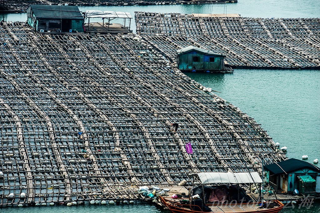 福建霞浦,东安渔排,海上人家|霞浦|东安|海上渔村|网箱|木屋_新浪新闻