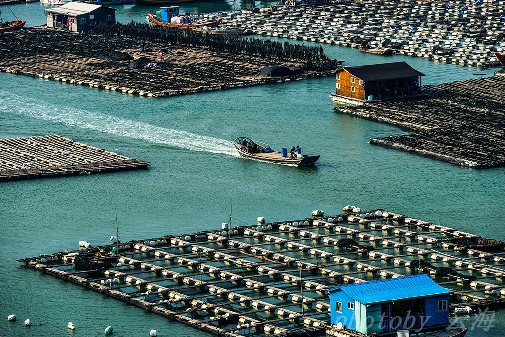 福建霞浦,东安渔排,海上人家