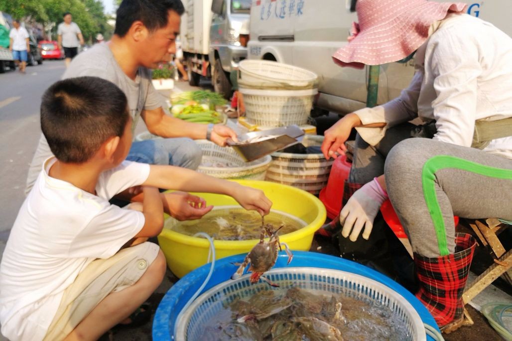 海鲜摊贩冰镇梭子蟹保活热死蟹子卖不出全扔25块钱一斤成主流