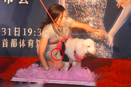 明星尴尬瞬间,佟丽娅被抱,梁咏琪摔倒,伍咏薇的表情亮了