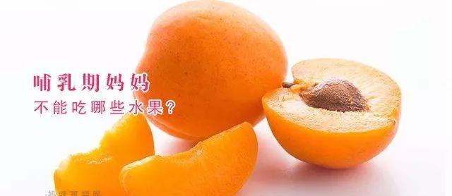 四季龙眼苗多少钱一棵啊