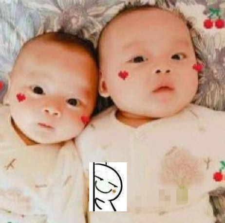 张杰谢娜宝宝大名曝光,张杰无意说出后粉丝都笑喷了,太随意了吧