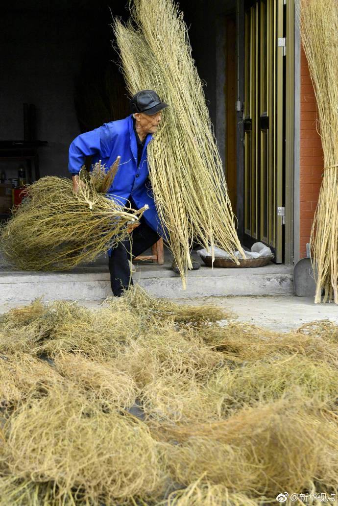 81岁的杨汉林是湖北省恩施的农民,几十年来,他种植扫帚苗,加工扫帚,制