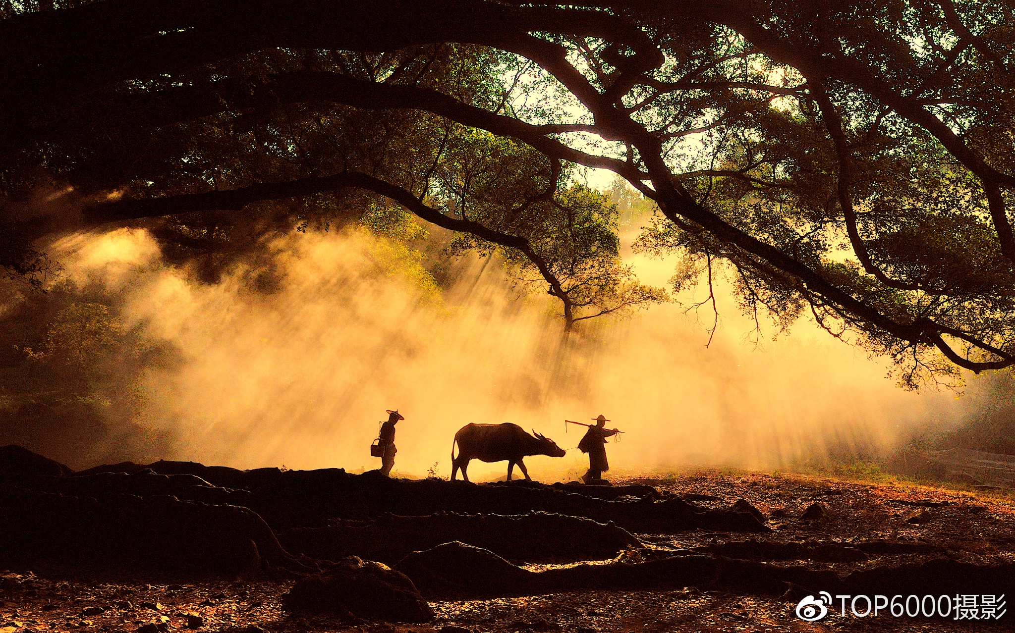 摄影|摄影网|摄友_新浪新闻