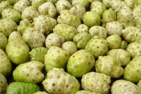 诺丽果的功效及副作用有哪些?诺丽果在国内是