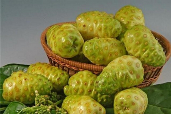 诺丽果的功效及副作用有哪些?诺丽果在国内是