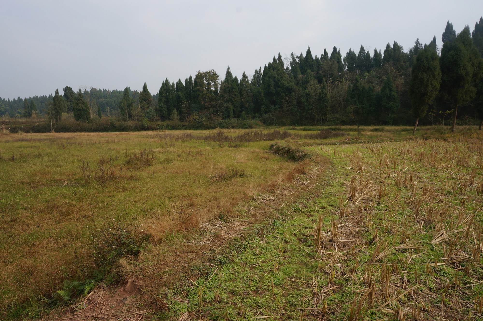 子女不能继承农村父母名下的土地,是这四大原因导致!农民要注意