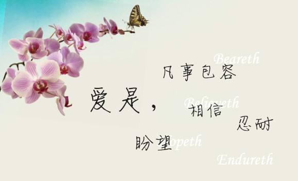 你就在我们身边|珍珠|文文|凡事_新浪新闻