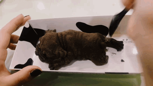 不是软糯的蛋糕嘛网上的网红沙皮狗?买!这次大哥不是说报销吗!