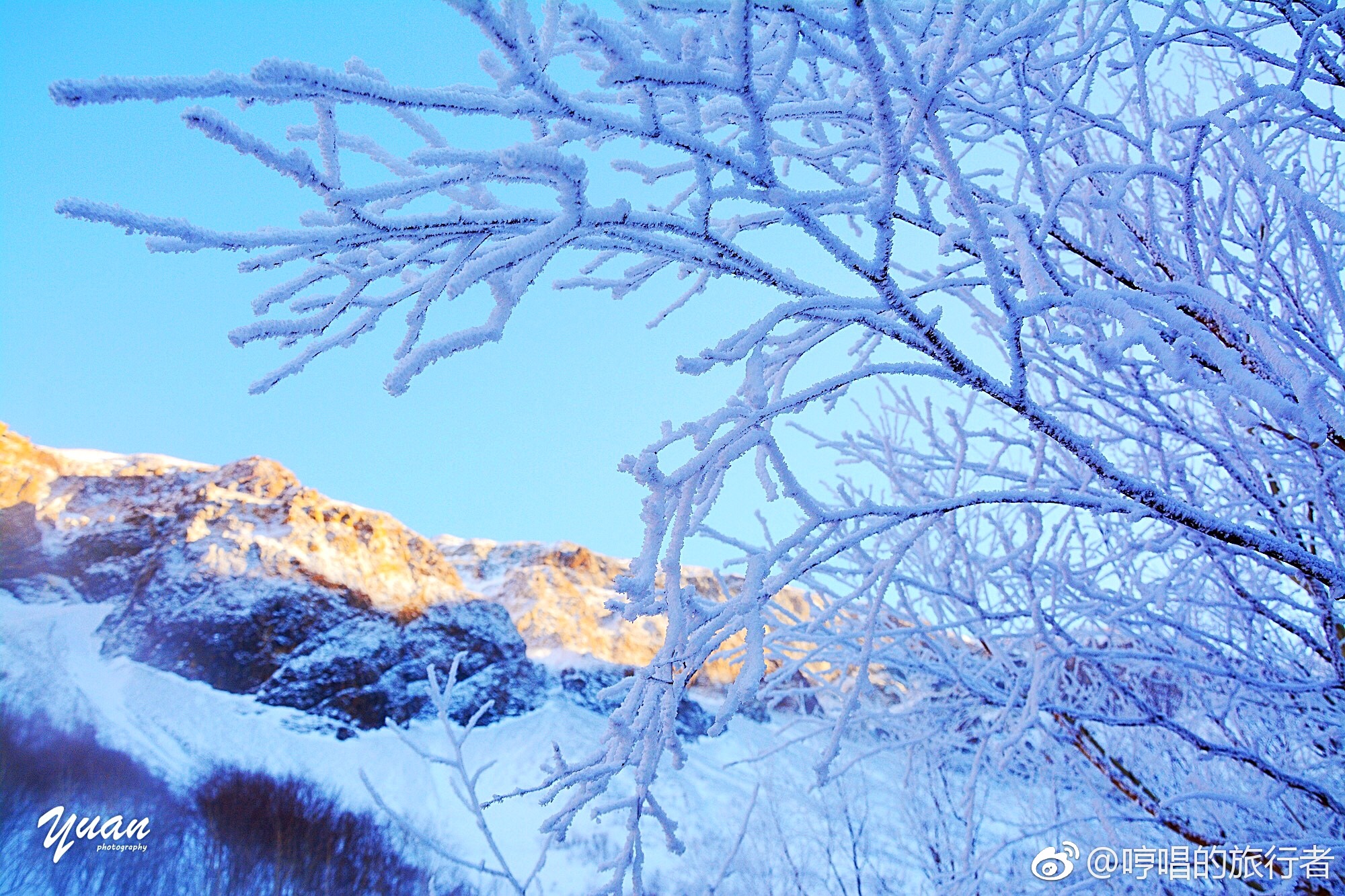 长白山白雪皑皑,雾凇岛银装素裹,查干湖冬捕好生热闹……冰天雪地间