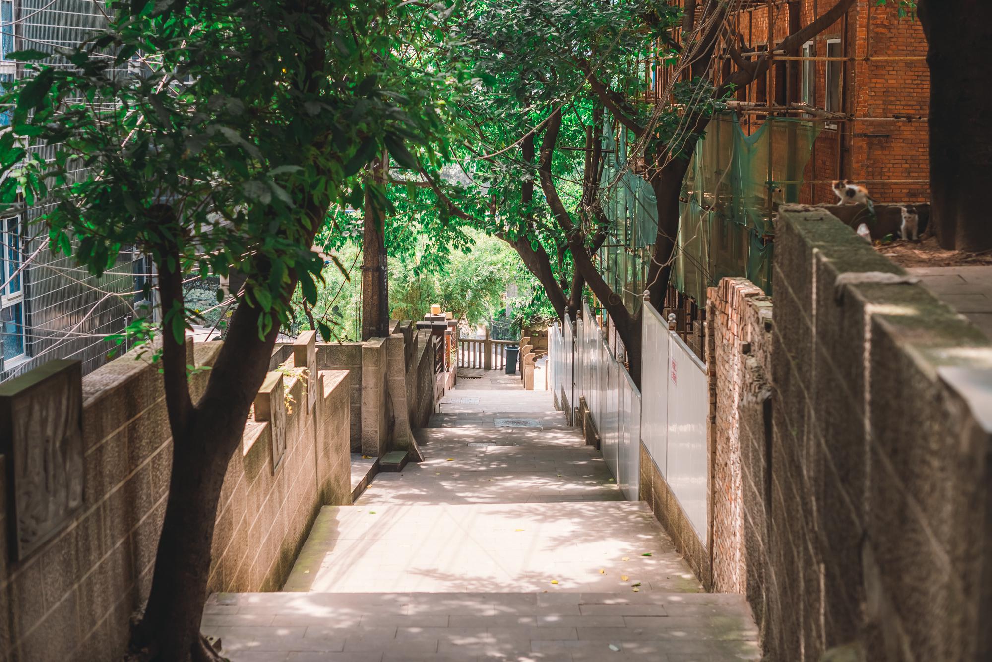 去重庆的山城步道,感受重庆人的生活气息