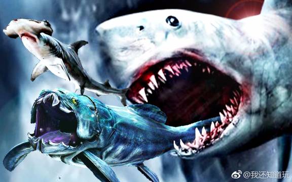 单机游戏 模拟食人鱼!