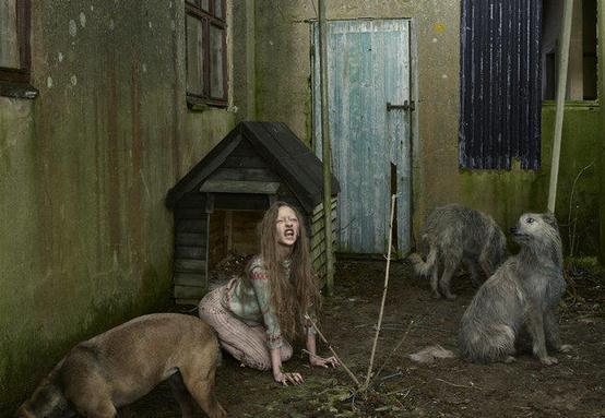 1920年10月,人们在印度葛达莫里村的附近的狼窝里发现了两个狼孩就曾