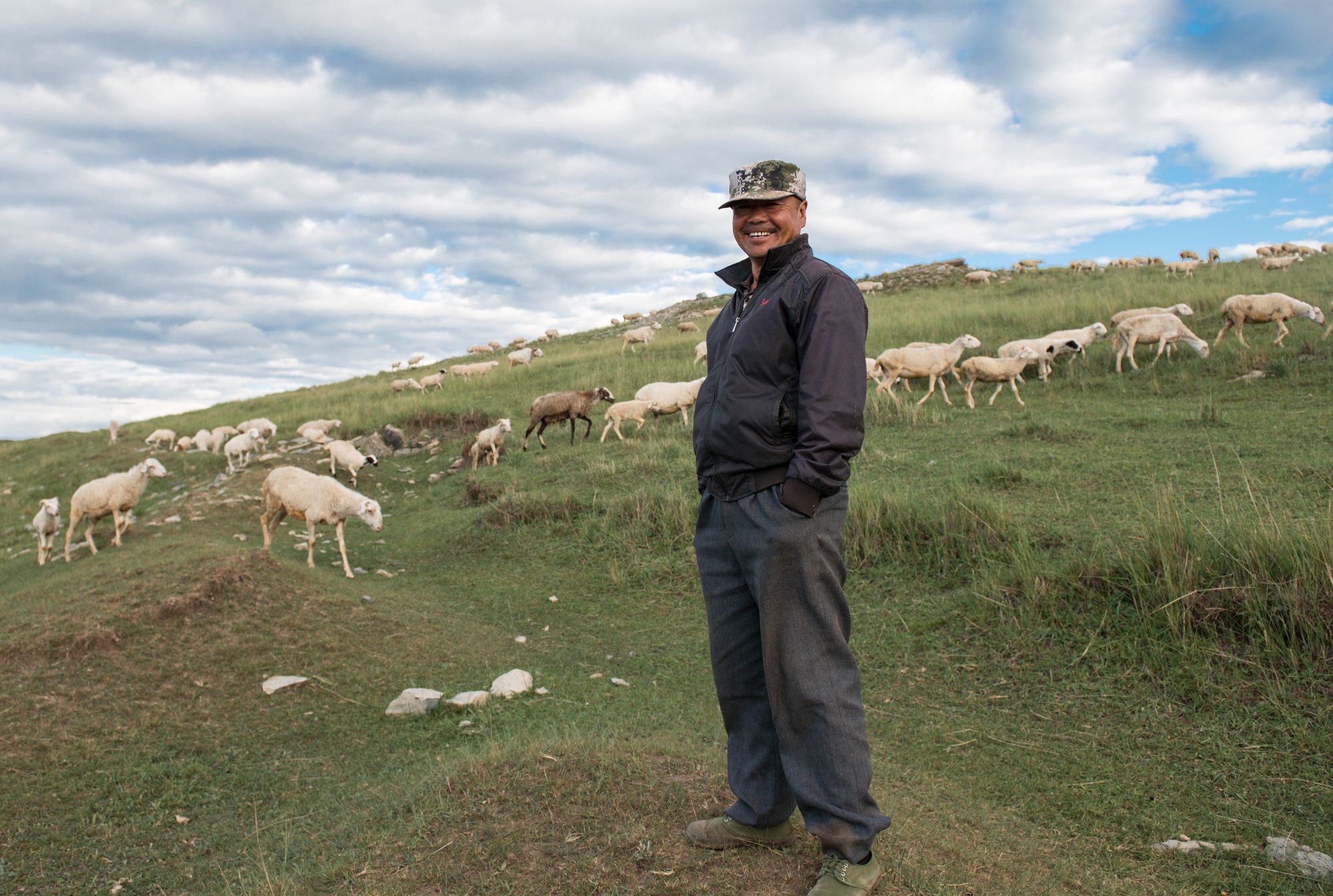 实拍坝上草原牧羊人为了生活每天风吹日晒在美景中忍受孤独