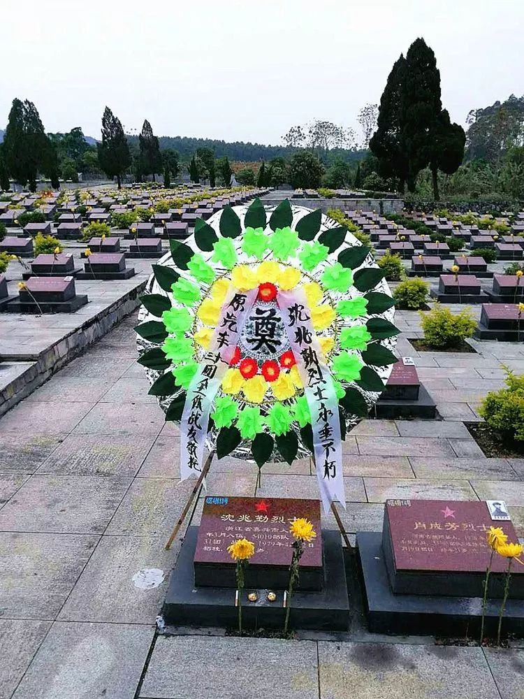 烈士墓碑信息错误,退役老兵不远千里更正!