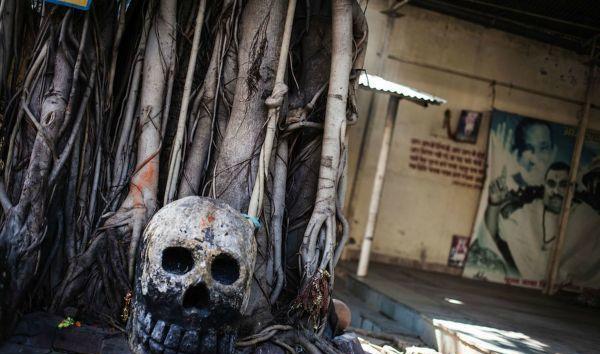 印度食人族, 用人头骨装水喝, 以恒河尸体当食物