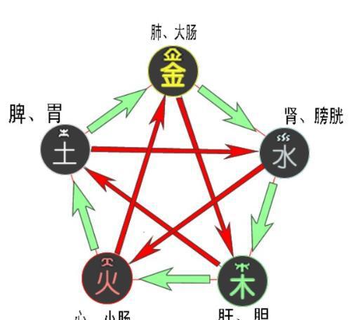 五行对应脏腑江湖有言:顺我者昌逆我者亡.