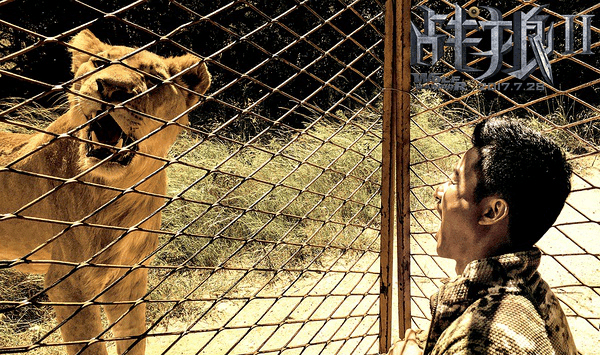 好票房不是偶然, 只是因为《战狼2》挥洒的汗水比别人更多