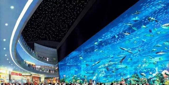 最值得一去的10大海洋馆中国只入围了一座