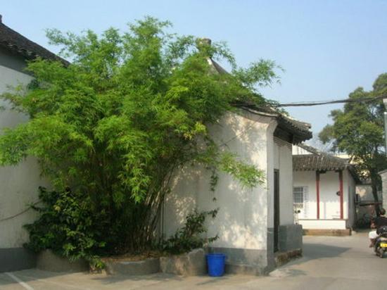 苏州昔日古典园林南半园将重获新生 带您探访南半园的前世今生