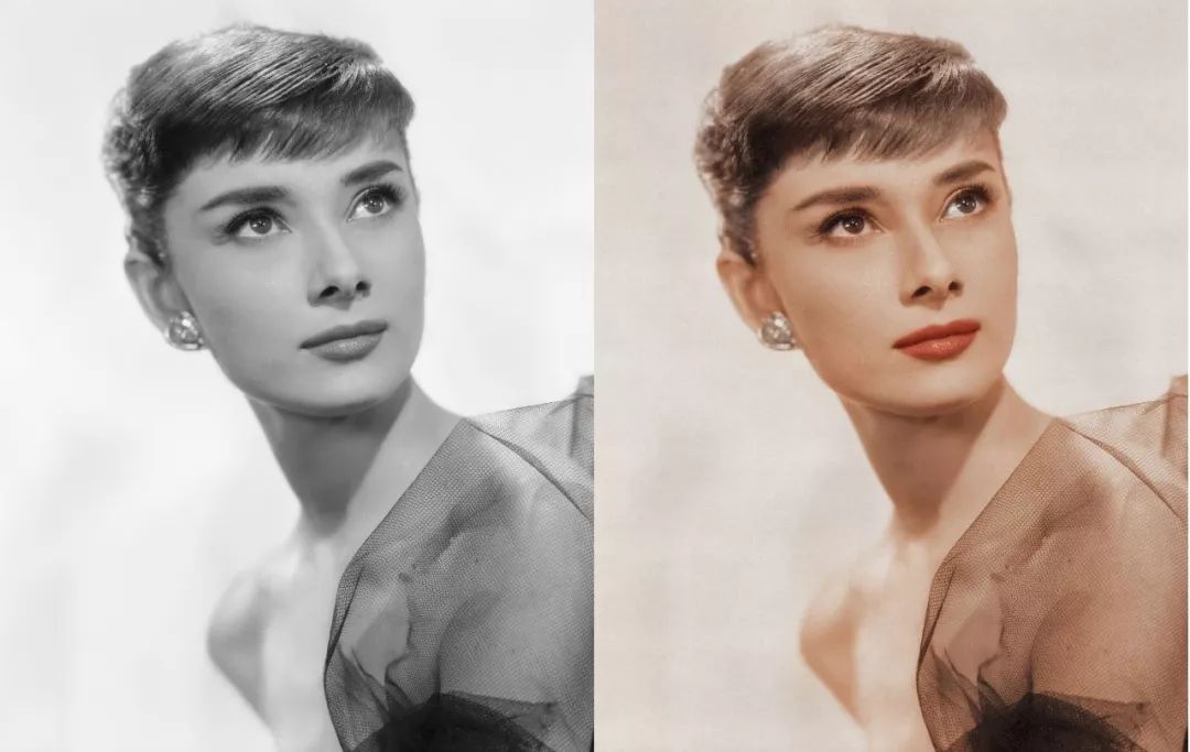 历史|赫本|木枷_新浪新闻