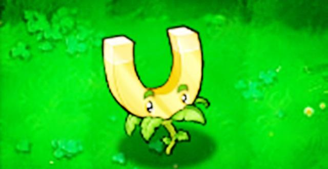 最后一种,则是不太推荐优先购买的植物了,那就是吸金磁,吸金磁的作用