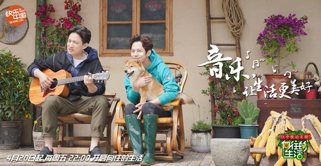 何炅说像做梦的《向往的生活》,宠物柴犬小h 因岁数小入选