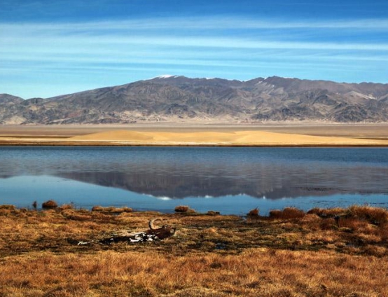 其环境特点:阿尔金山保护区内有八条主要的河流与众多的时令河组成了