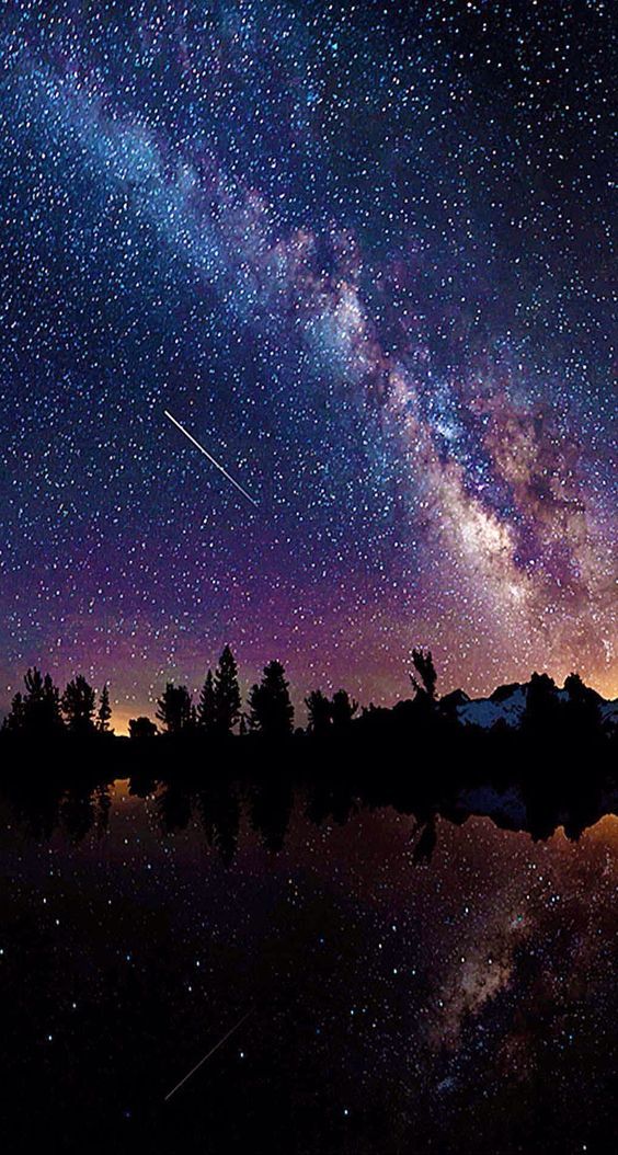 只想为你收集这漫天的星河只愿你期待的一切都能如愿