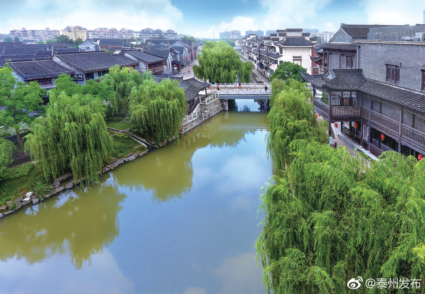 微观民生#作为泰州一名专业的摄影工