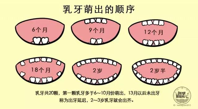 出牙晚,乳牙不掉,不齐?趁早治!否则影响一辈子!