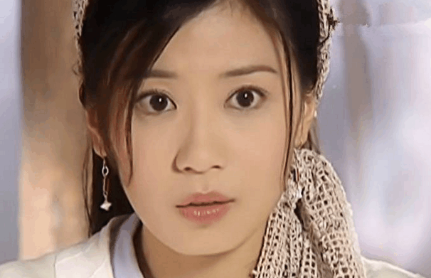 她曾与赵文卓合作, 遭前夫家暴, 如今嫁小9岁台湾男星|赵文卓|贾静雯