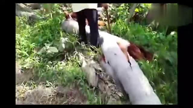 在广西东兴口岸,实拍跨国贸易的越南女人,他们