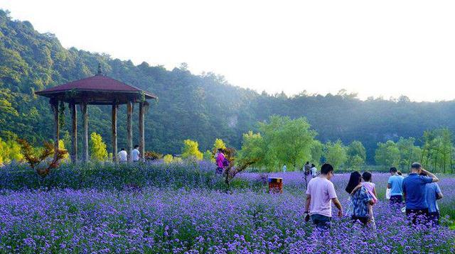 綦江花壩旅遊度假區地處四川盆地與雲貴高原結合部,大婁山脈中段,地勢