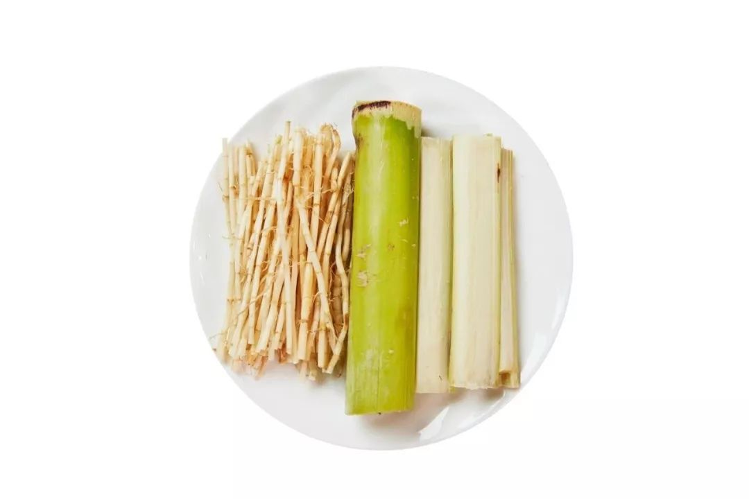 sdfd常用搭配猪肉煲汤的新鲜瓜果左:竹庶和茅根 右:粟米,甘笋和莲藕