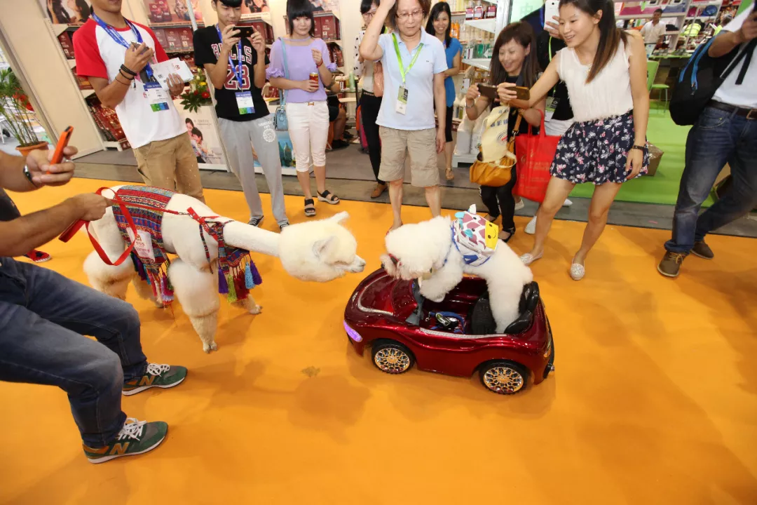 今年最爆宠物展你不去?来巨小萌看